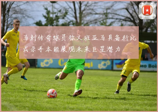 马刺传奇球员称文班亚马具备科比式杀手本能展现未来巨星潜力