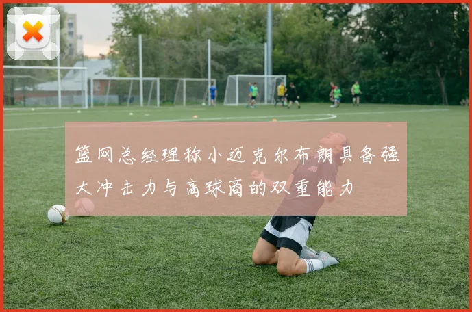 篮网总经理称小迈克尔布朗具备强大冲击力与高球商的双重能力